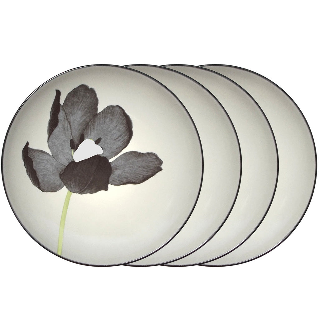 Noritake Graphite Colorwave Rim Dinnerware Set Flower Accent Plate 8" 4pc