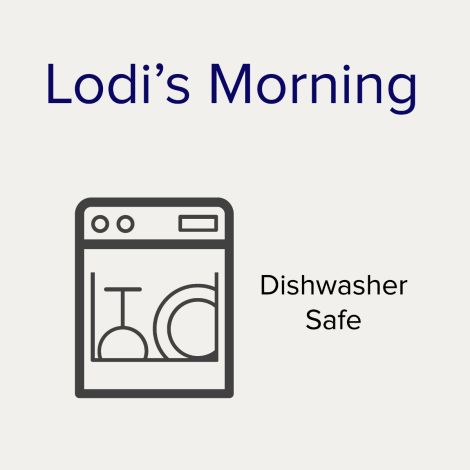 Noritake Gold Lodi's Morning Dinnerware Set