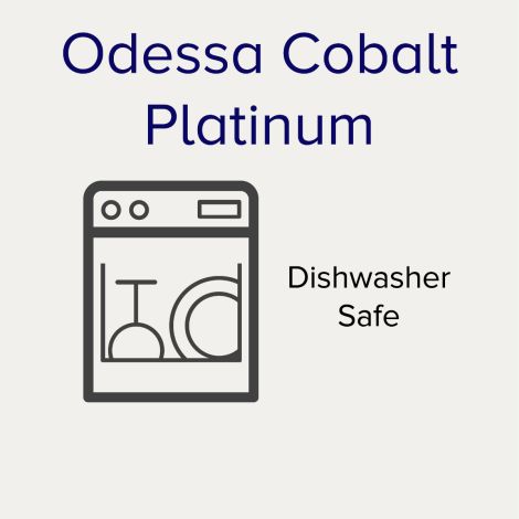 Noritake Silver Cobalt Odessa Dinnerware Set 5pc