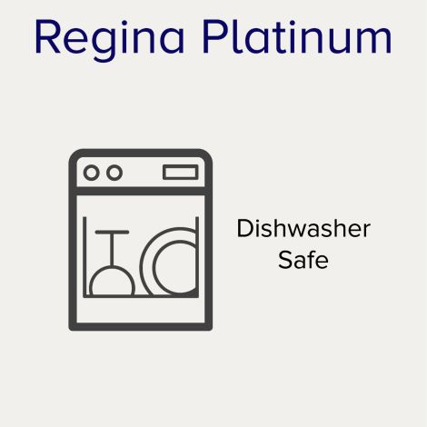 Noritake Silver Regina Platinum Dinnerware Set 5pc