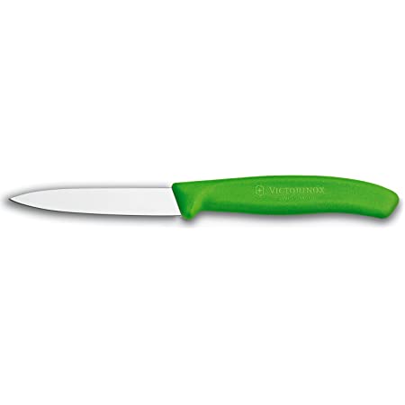 Victorinox Green Straight Pointed Knife 4" 1pc - The Cuisinet