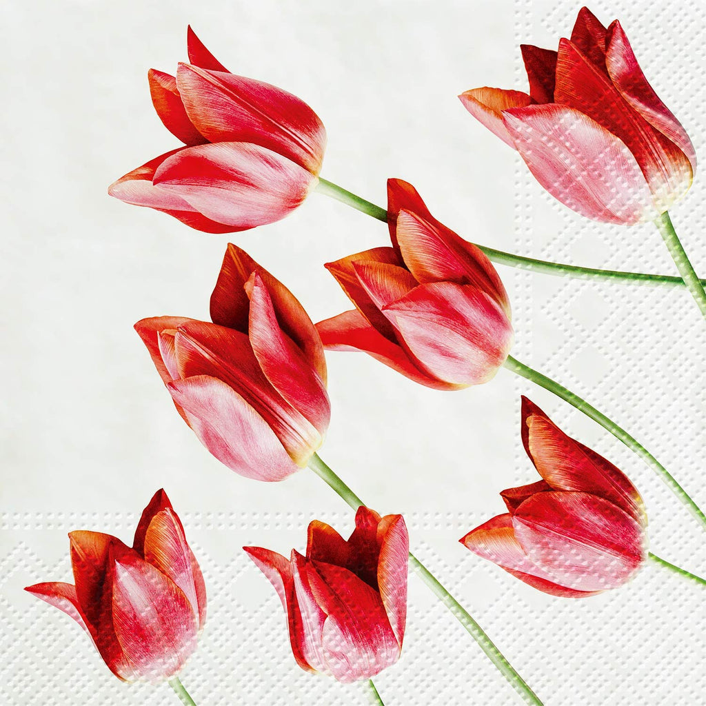 Abbott Collection Tulips Napkin-20Pk - The Cuisinet