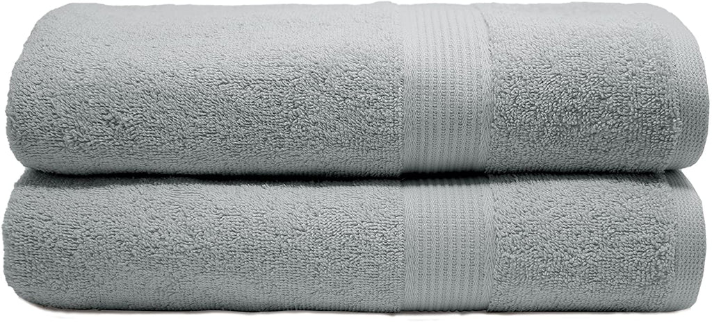 BATH TOWEL TERRY AMBIANCE COLLECTION 24X50 SILVER - The Cuisinet