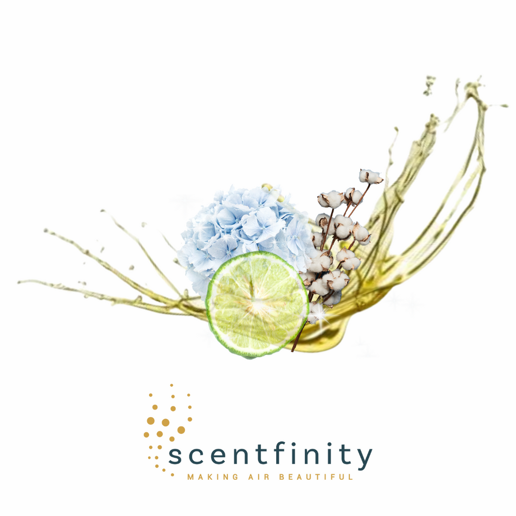 Scentfinity Dreams Refill - The Cuisinet
