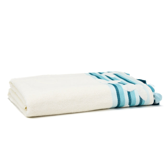 Butterfly Turkish Cotton Washcloth Arctic - The Cuisinet