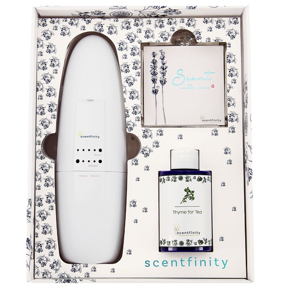 Scentfinity Thyme for Tea Junior Gift Box - The Cuisinet